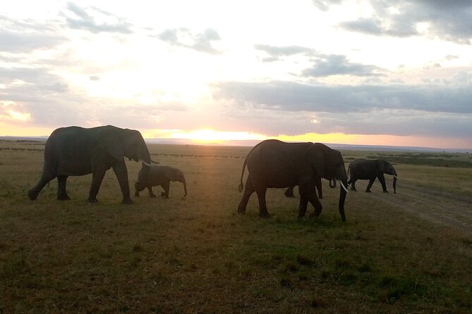 Private 2 Nights and 3 Days Amboseli Tour - Cultural Experience
