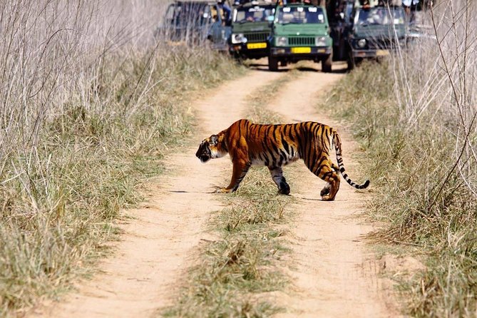 Private 2 Nights Short Escape To Jim Corbett - Trip Overview