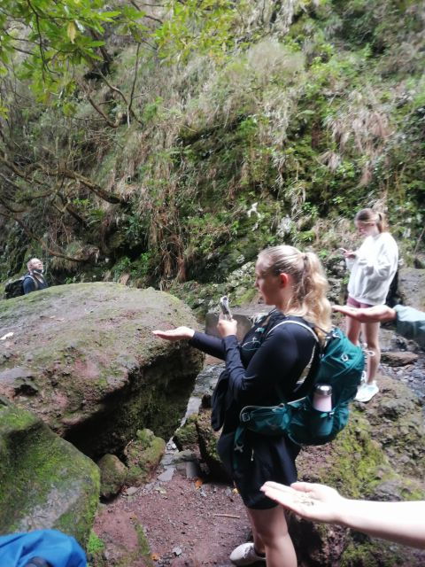 Private - 25 Fontes and Risco Waterfall Guided Tour - Full Description
