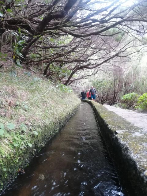 Private - 25 Fontes and Risco Waterfall Guided Tour - Inclusions
