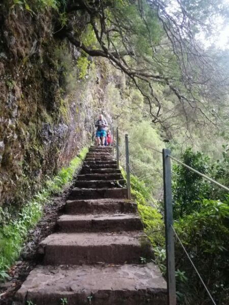 Private - 25 Fontes and Risco Waterfall Guided Tour - The Sum Up