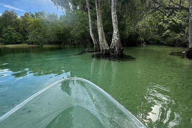 Private 2Hour Clear Kayak/ROC Paddle Board Rental on Silver River - Practical Tips for Your Silver River Paddle