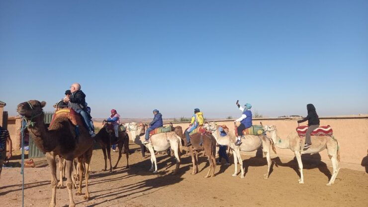 Private 3-Day Circuit From Marrakech to Merzouga Desert to Fes - Marrakech: Vibrant Markets and Cultural Sites