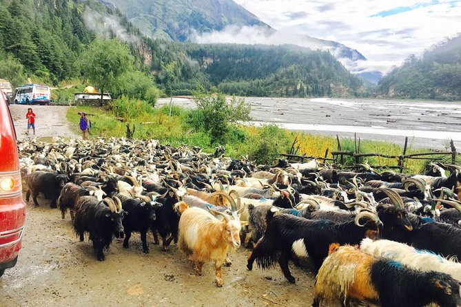 Private 3-Day Overland Tour to Lower Mustang and Muktinath  - Pokhara - Tour Highlights