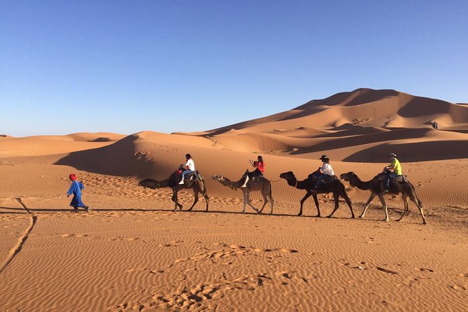 Private 3 Day Sahara Desert Adventure - Good To Know