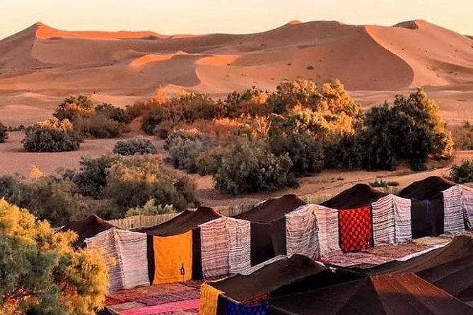 Private 3 Day Sahara Desert Adventure - Accommodation and Meals