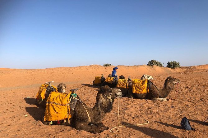 Private 3 Day Sahara Desert Adventure - Pricing and Booking Information