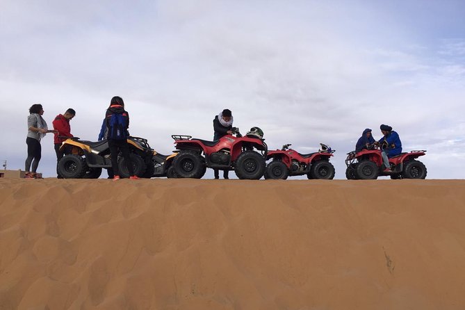 Private 3 Day Sahara Desert Adventure - Contact Details and Communication