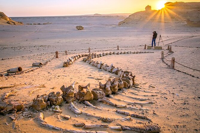 Private 3-Day Tour in Cairo, Fayuom and Alexandria - Booking Details