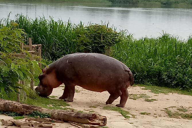 Private 3-Day Tour in Queen Elizabeth Park Safari - Inclusions and Exclusions