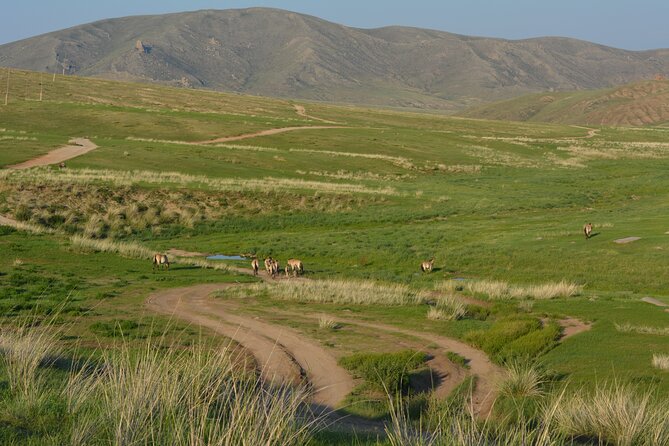 Private 3-Day Tour of National Parks From Ulaanbaatar - Tour Highlights