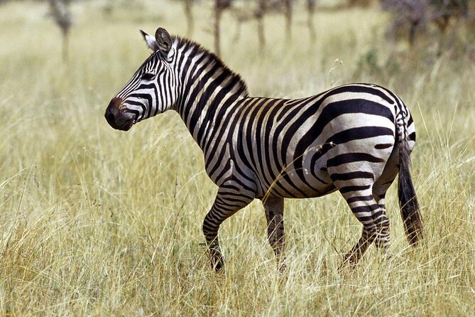 Private 3 Day Tour to Serengeti National Park - Good To Know