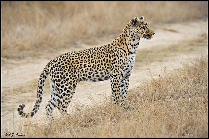 Private 3 Day Tour to Serengeti National Park - Booking and Cancellation Policy