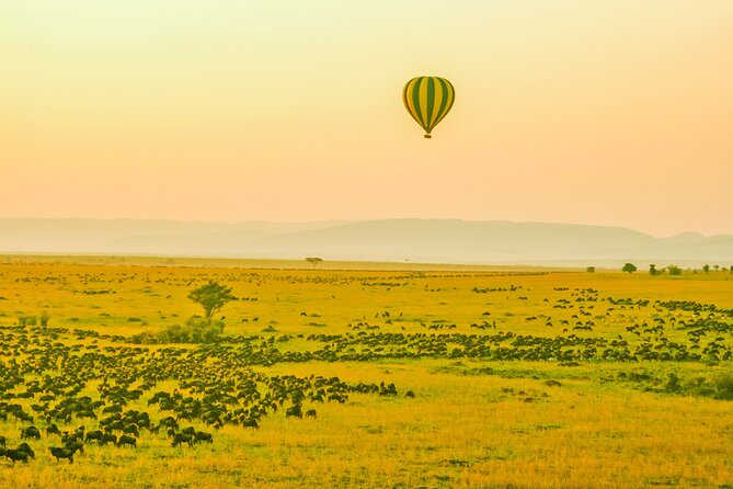 Private 3 Days Astounding Masai Mara Migration Safari. - Inclusions