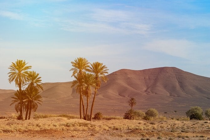 Private 3 Days Desert Exploration Trip From Errachidia - What To Expect