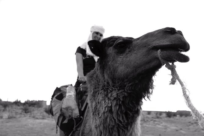 Private 3-Days Tour From Fes to Merzouga Desert With Luxury Camp and Camel Ride - Exclusions
