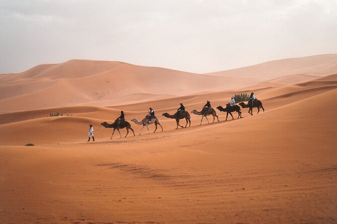 Private 3 Days Tour From Marrakech to Merzouga - Reviews and Ratings