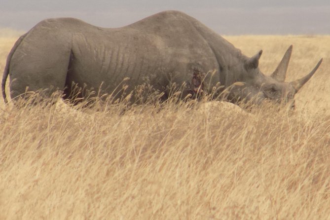 Private 3 Days Wildlife Safari at Tanzania - Customer Reviews and Testimonials
