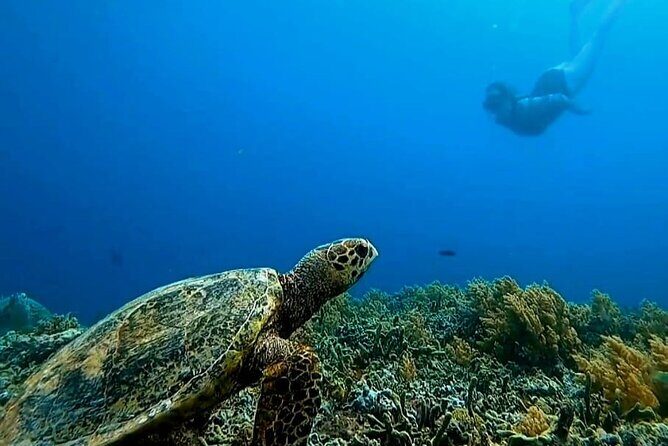 Private 3 Gili Islands Snorkeling Tour from Kuta Lombok - The Allure of the Gili Islands Snorkeling Tour