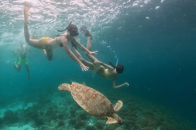 Private 3 Gili Trip - Exploring the Gili Islands: What to Expect from Your Private Snorkeling Tour