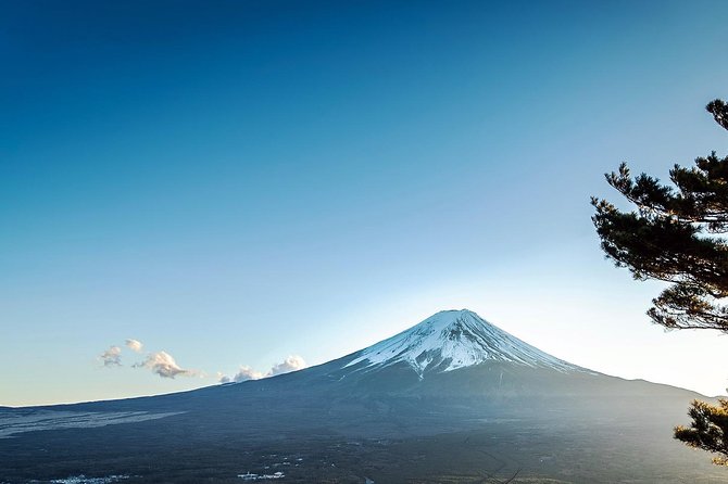 Private 3-Hour Biking Adventure: Descend Mount Fuji  - Fujikawaguchiko-machi - Pricing and Reservation