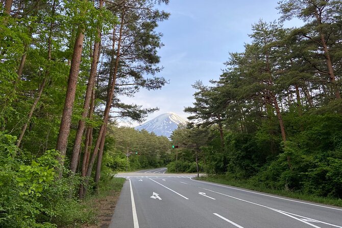 Private 3-Hour Biking Adventure: Descend Mount Fuji  - Fujikawaguchiko-machi - Inclusions
