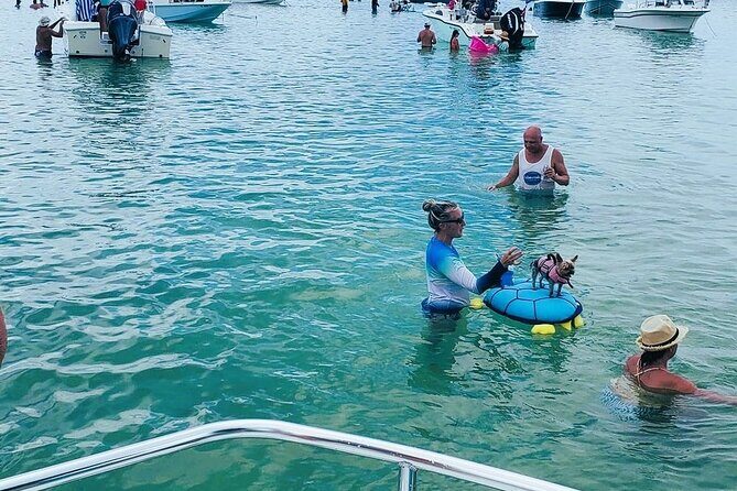 Private 3 hour Charter and Sandbar in Islamorada - How the Tour Unfolds: A Step-by-Step Look