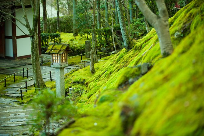 Private 3-hour Kyoto Arashiyama Rickshaw Tour - Tour Overview
