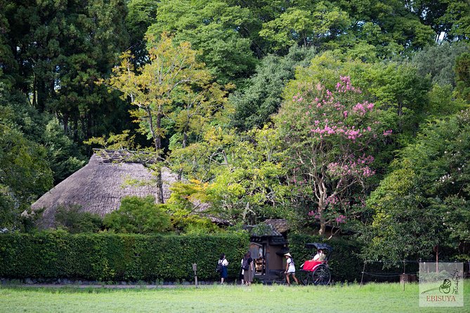Private 3-hour Kyoto Arashiyama Rickshaw Tour - Pricing Details