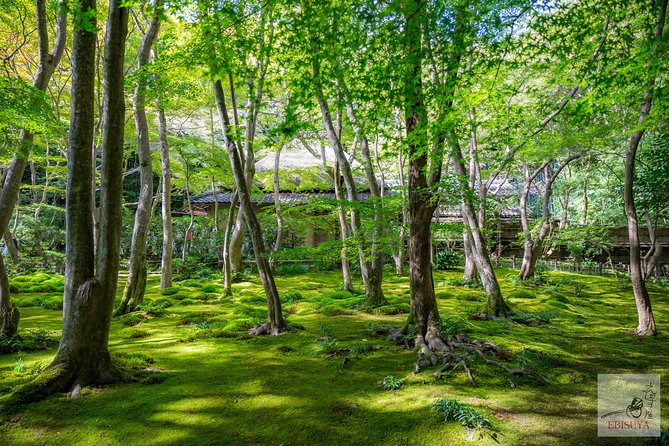 Private 3-hour Kyoto Arashiyama Rickshaw Tour - The Sum Up