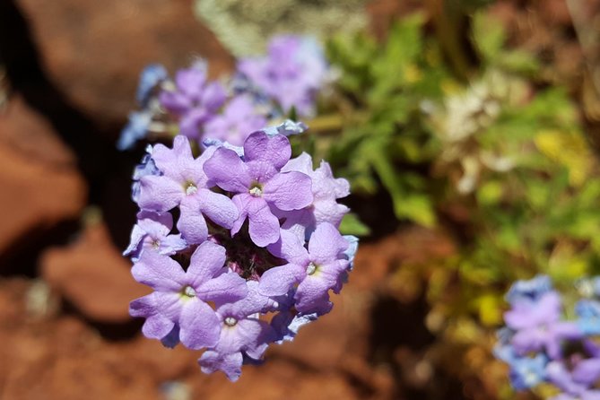 Private 3-Hour Sedona Metaphysical Photography Tour - Tour Overview