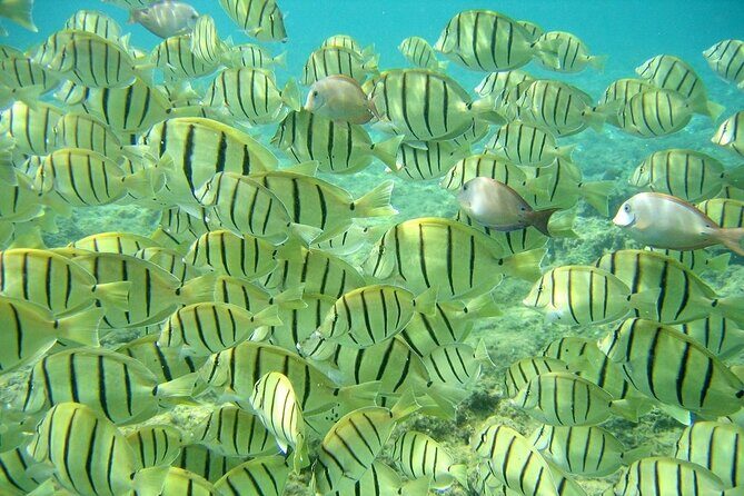 Private 3 Hour Snorkeling Tour with Arch Tour and Beach Time - Good To Know