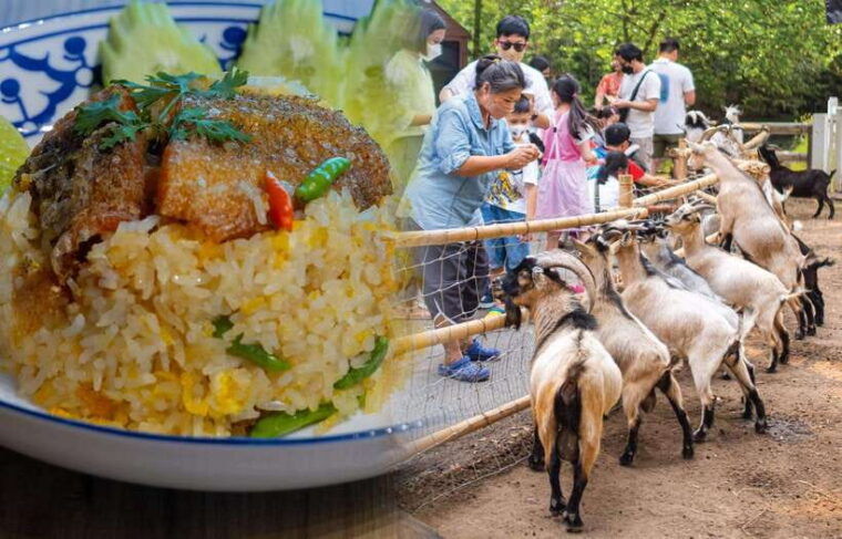 Private 3 IG Cafe + Don Wai Floating Market: From Bangkok - Transportation and Accessibility