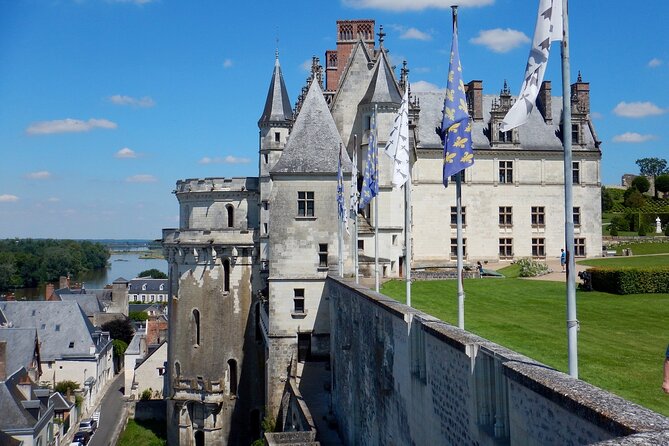 Private 3 Loire Valley Castles by Minivan From Paris With Tickets & Wine Tasting - Traveler Feedback and Reviews