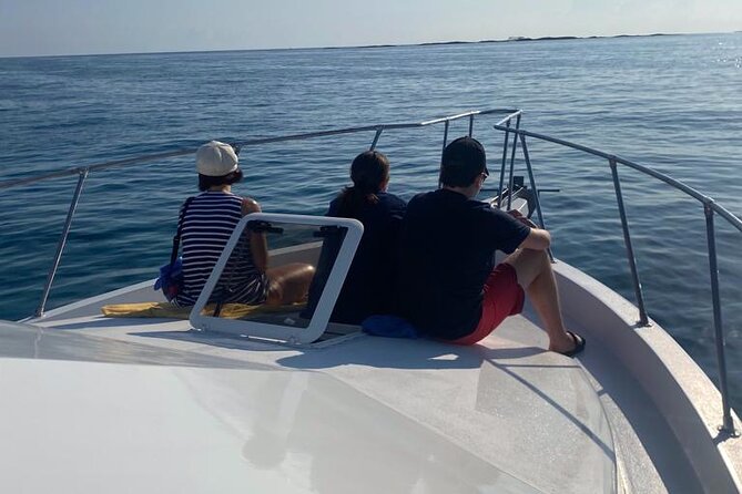 Private 38 Defender Sportfishing/Swim With Pigs in Nassau - Pricing and Booking Information