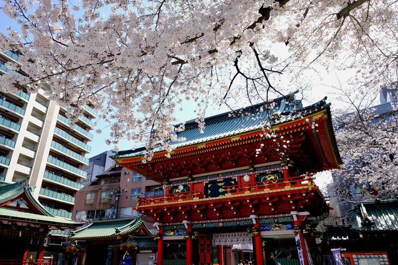 PRIVATE 3Hour Best of AKIHABARA Walk with a Local Otaku Guide - Who should book this Akihabara walk?
