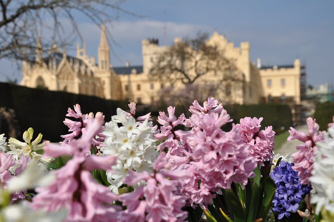 Private 4 Castles Day Trip From Vienna to South Moravian Region - Tour Highlights