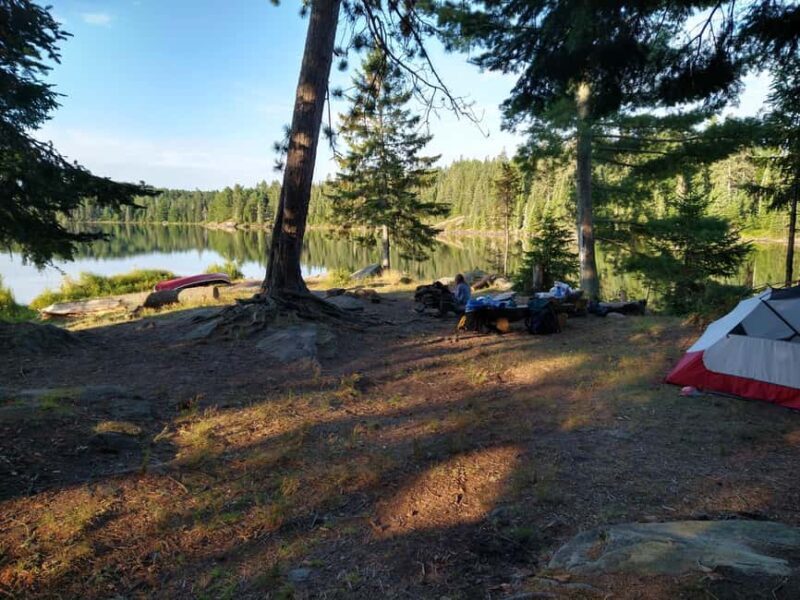 Private 4 Day Algonquin Park Backcountry Canoe Trip - Who Is This Trip Best For?