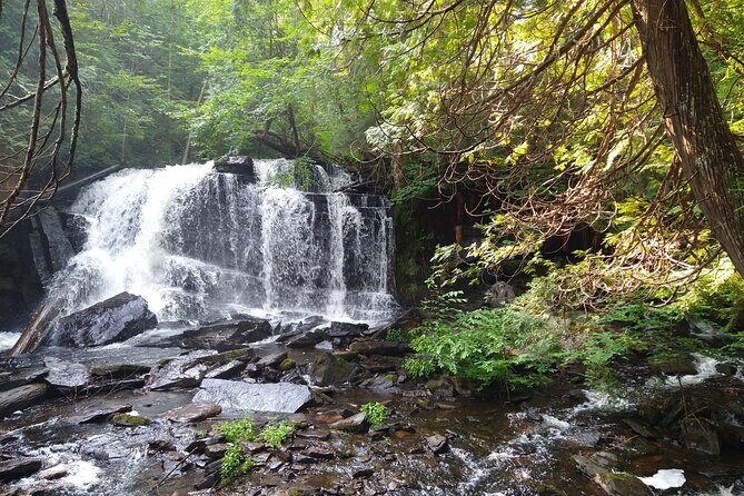 Private 4 Day Algonquin Park Backcountry Canoe Trip - FAQs