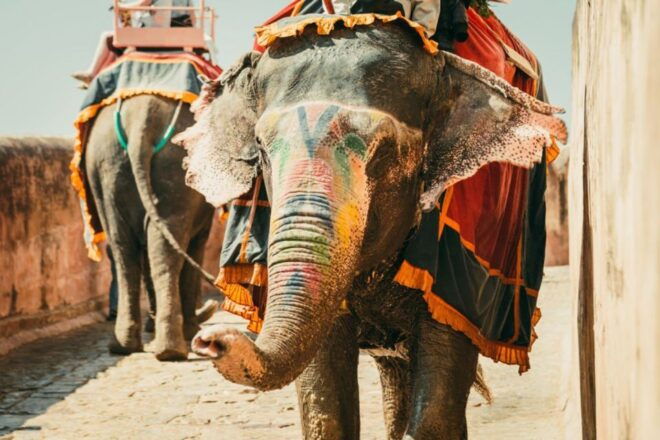 Private 4-Day Golden Triangle Luxury Tour From Delhi - Multilingual Live Tour Guide