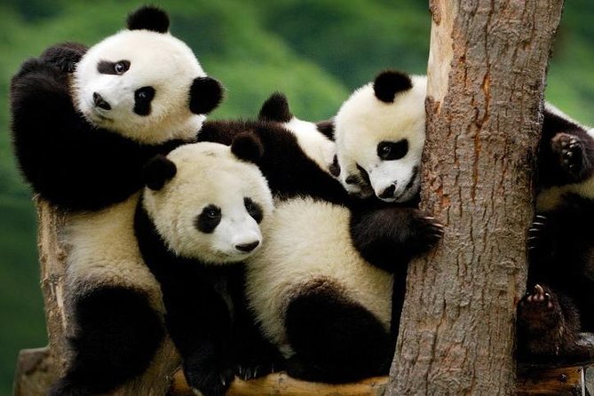 Private 4-Day Korea Tour: Seoul, Nami, Petite France, Everland - Tour Details and Inclusions