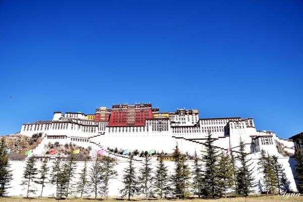 Private 4-Day Lhasa Tour Including Airport Pickup - The Sum Up