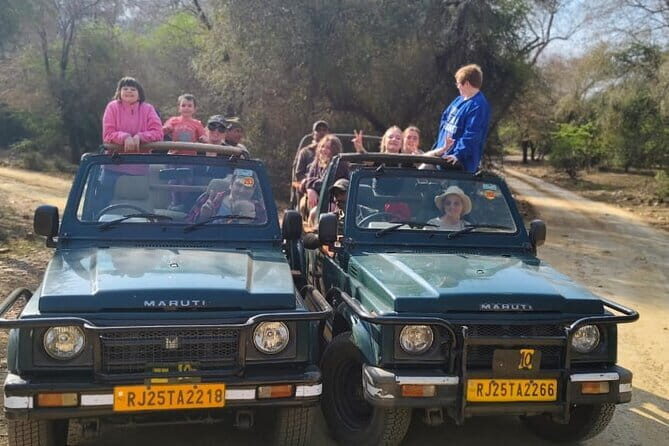 Private 4-Day Tiger Safari and Golden Triangle Tour from Delhi - FAQ