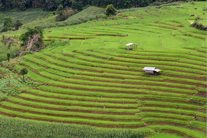 Private 4 Day Tour in Chiang Mai and Chiang Rai - The Sum Up