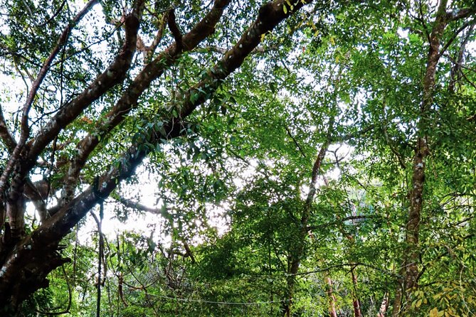 Private 4 Hour Hiking Adventure Breakfast in Nogalito Ecopark - Inclusions and Logistics