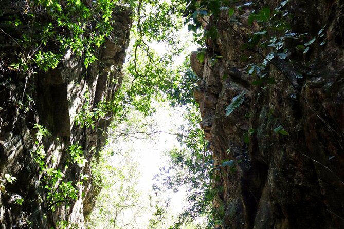 Private 4 Hour Hiking Adventure Breakfast in Nogalito Ecopark - The Sum Up
