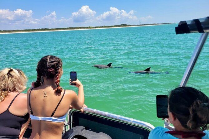 Private 4 Hour Shell Key Island Adventure Dolphins and Shells - Pricing and Value: Is It Worth It?