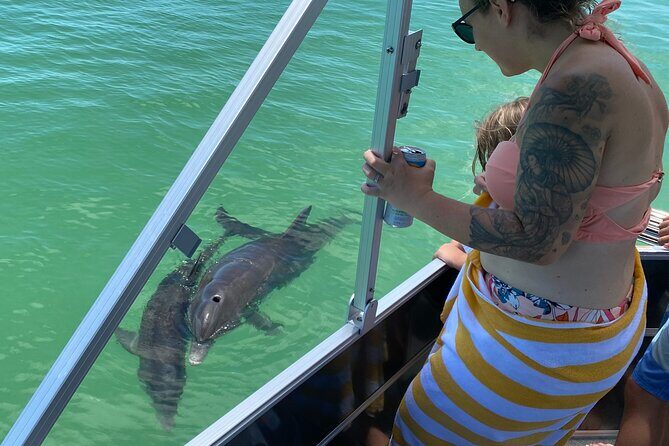 Private 4 Hour Shell Key Island Adventure Dolphins and Shells - Final Thoughts: Who Should Consider This Tour?