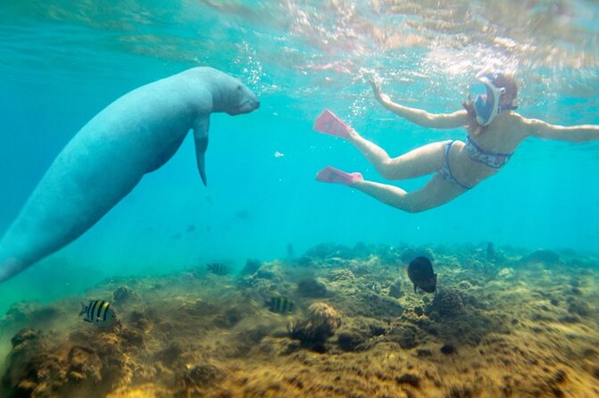 Private 4-Hour Speedboat Tour in the Read Sea From Hurghada - Itinerary Details