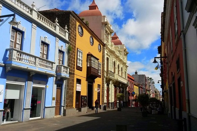 Private 4-Hour Tour to La Laguna From Tenerife From Hotel or Port Pick-Up - Pricing and Group Size